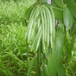 image 2025 08 22 150852674