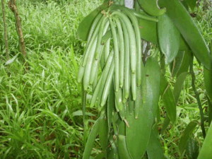 image 2025 08 22 150852674