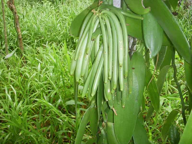 image 2025 08 22 150852674